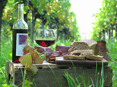 Picknick in den Bio-Weinbergen