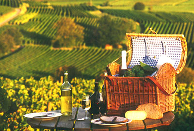 Weinbau mit der Natur
