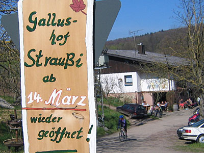 Gallushof-Straußi