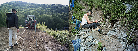 Arbeiten im Weingut Isele