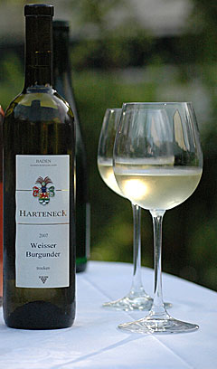 Sommerwein aus dem Weingut Harteneck