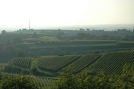 Breisgau