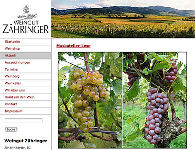 Lese-Tagebuch Weingut Zähringer