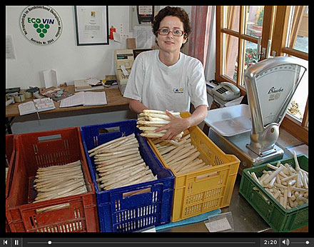 Vertonte Diaschau zum Thema Spargel