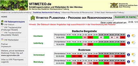 Vitimeteo