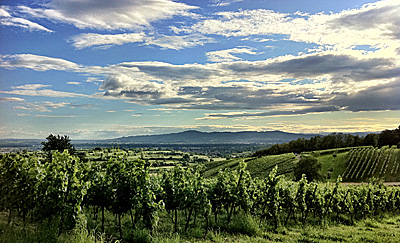 Blick auf den Kaiserstuhl