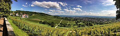 Markgräfler Weinpanorama