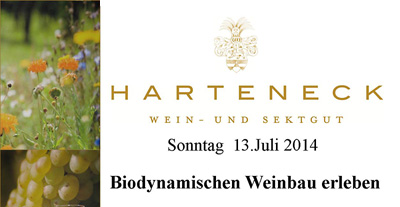 Weingut Harteneck Weinwanderung und Culinarium