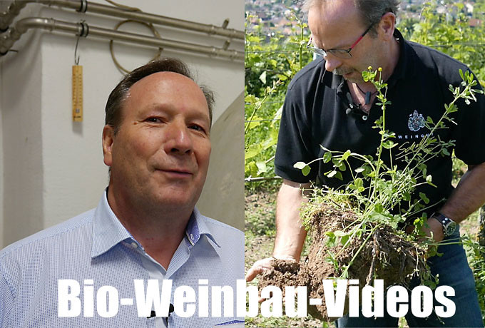 Bio-Weinbau-Videos