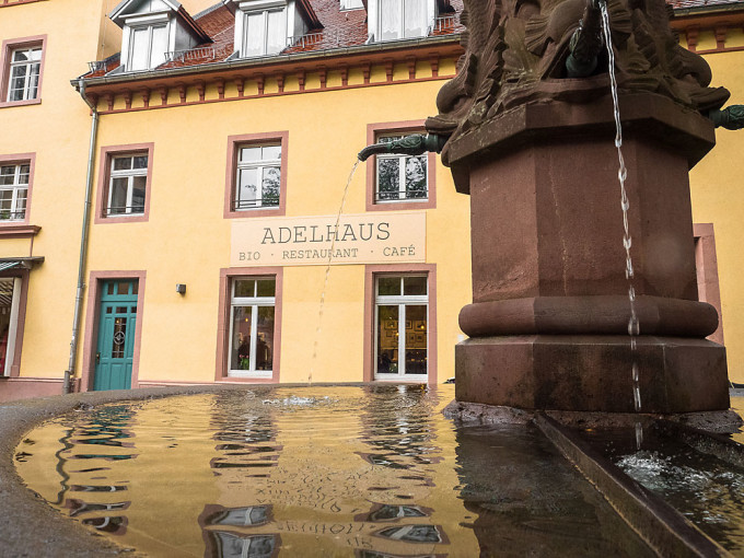 Im Adelhaus können die Besten Bioweine Baden-Württemberg in einem vegetarischen Drei-Gänge-Menü verkostet werden. 